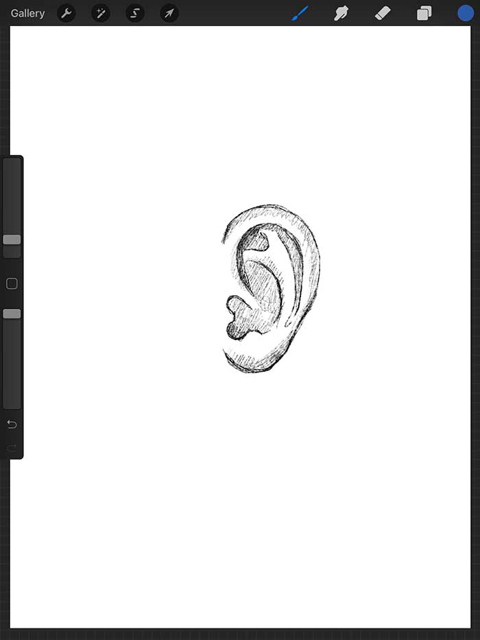 Step 05: Add Shadows to Ear Drawing